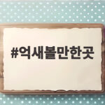 억새볼만한곳