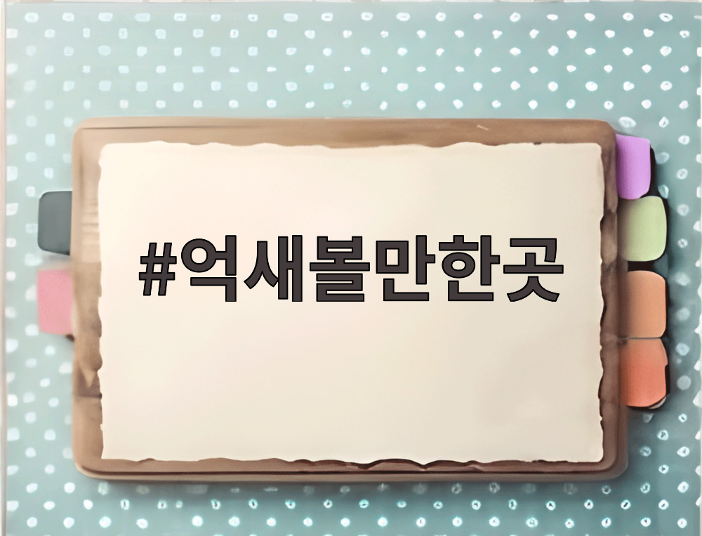 억새볼만한곳