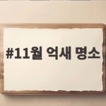 11월 억새 명소