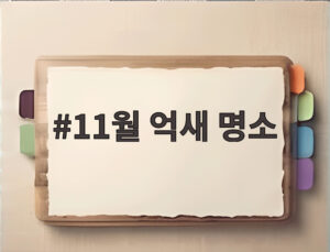 11월 억새 명소