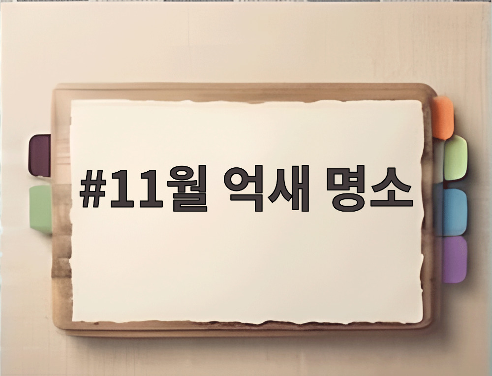 11월 억새 명소