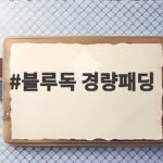 블루독 경량패딩