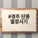 경주 단풍 절정시기