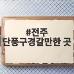 전주 단풍구경갈만한 곳 절정 시기와 이번 주말 가볼 만한 명소 전주 단풍구경갈만한 곳
