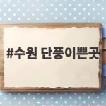 수원 단풍이쁜곳 5곳과 2026 절정 시기 한눈에 확인 수원 단풍이쁜곳