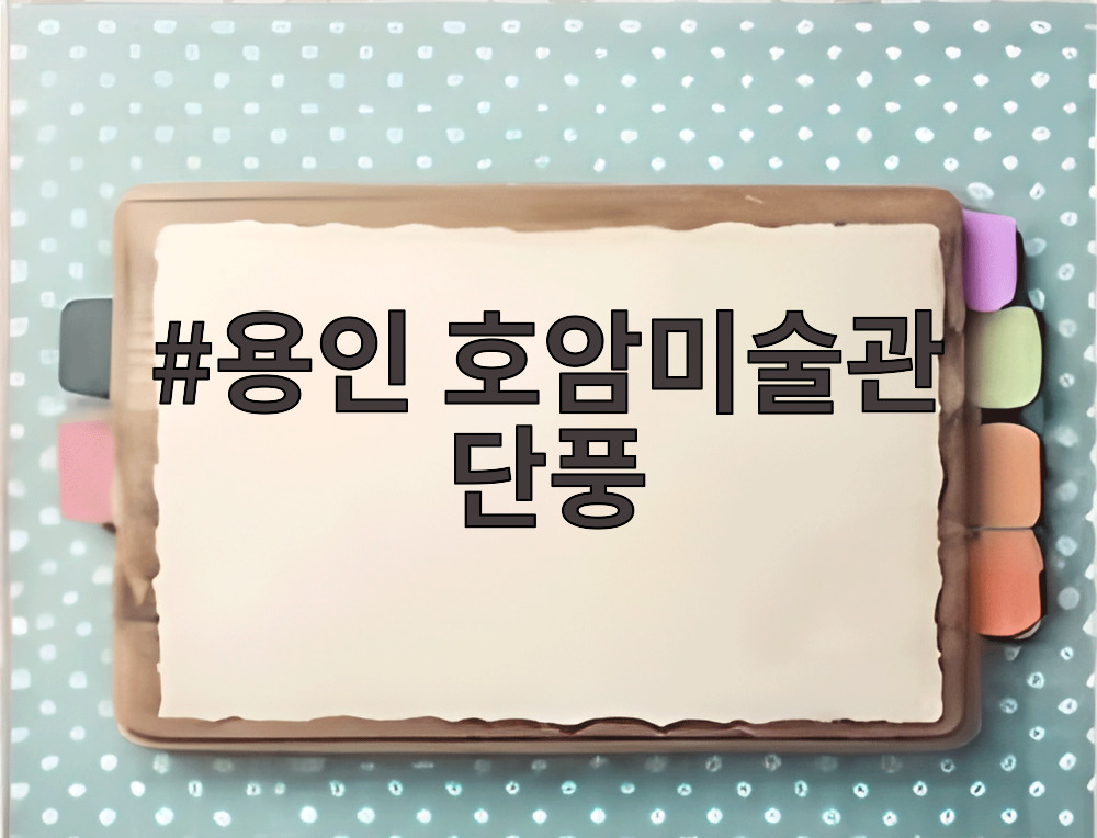 용인 호암미술관 단풍