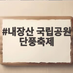내장산 국립공원 단풍축제