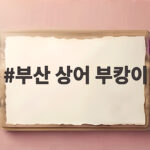 부산 상어 부캉이 바다 돌아갈 수 있을까 3차 구조 작전 살펴보니 부산 상어 부캉이