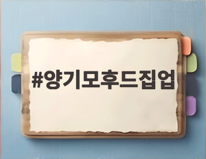 양기모후드집업