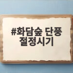 화담숲 단풍 절정시기 이번 주말이 가장 아름답습니다 화담숲 단풍 절정시기