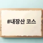 내장산 코스 헷갈릴 때 거리와 경사로 고르는 방법 내장산 코스