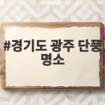 경기도 광주 단풍 명소 남한산성과 화담숲 가을 나들이 어디로 갈까 경기도 광주 단풍 명소