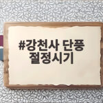 강천사 단풍 절정시기 맞춰 걷기 좋은 순창 가을 산책길 강천사 단풍 절정시기