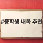 중학생 내복 추천 추운 겨울 교복 속 따뜻함을 지키는 실제 방법 중학생 내복 추천
