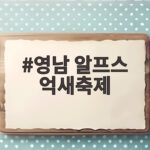 영남 알프스 억새축제 가을 절정과 주차 꿀팁 총정리 영남 알프스 억새축제