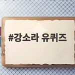 강소라 유퀴즈