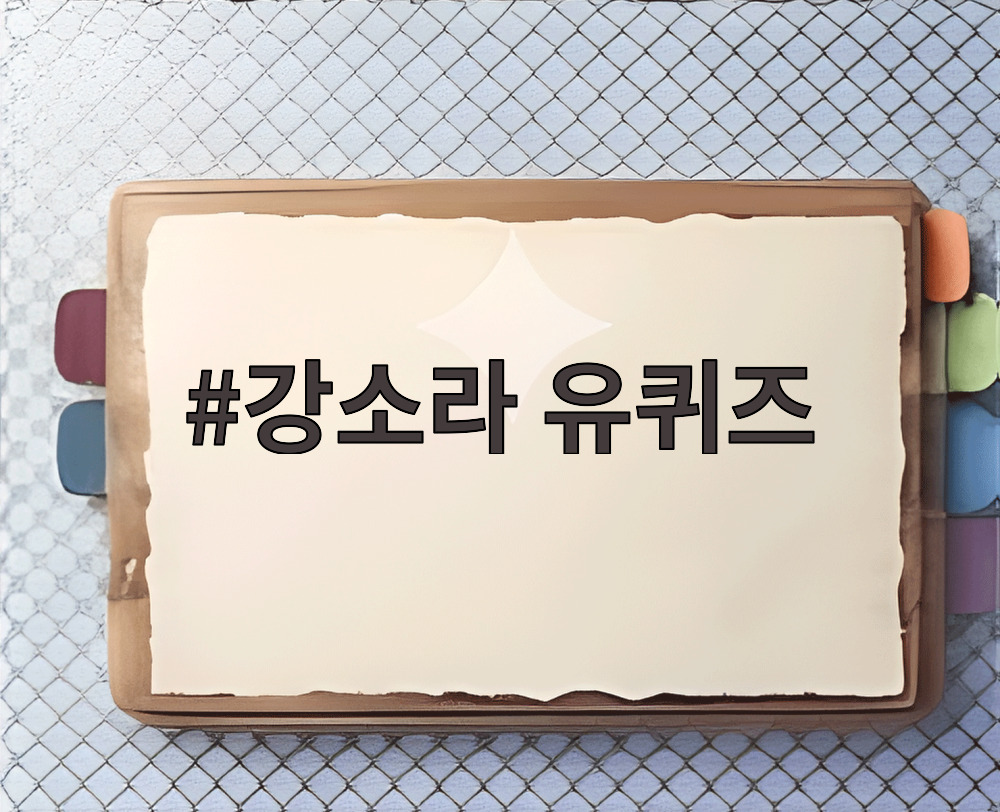 강소라 유퀴즈