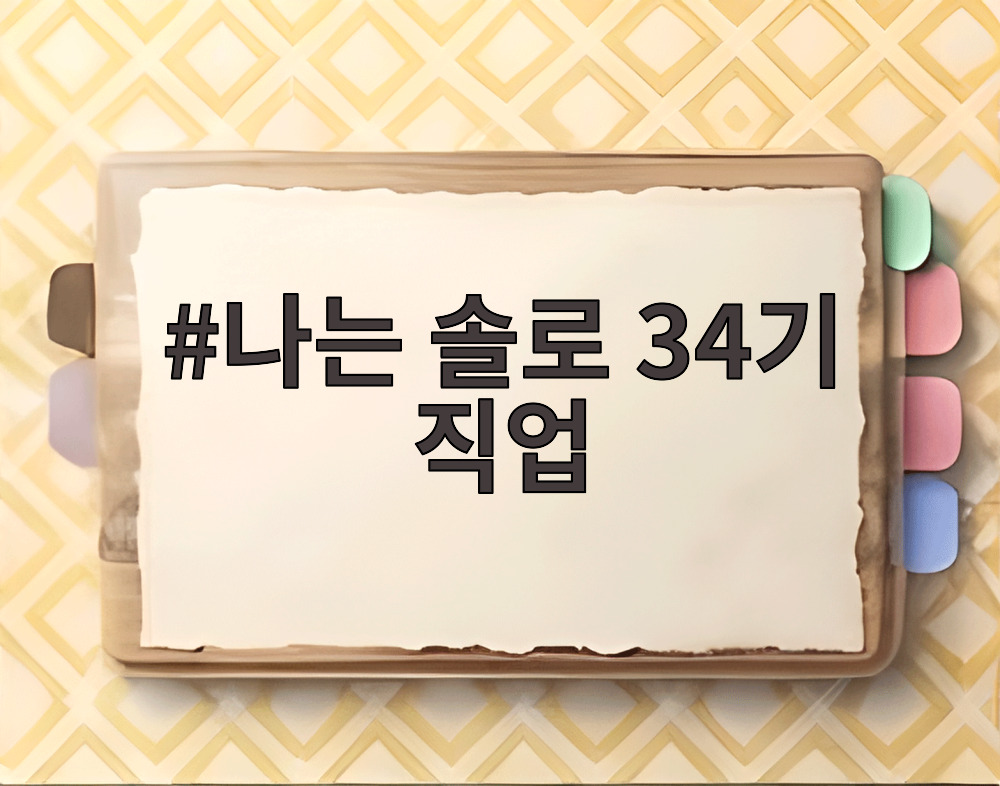 나는 솔로 34기 직업