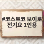 코스트코 보이로 전기요 1인용