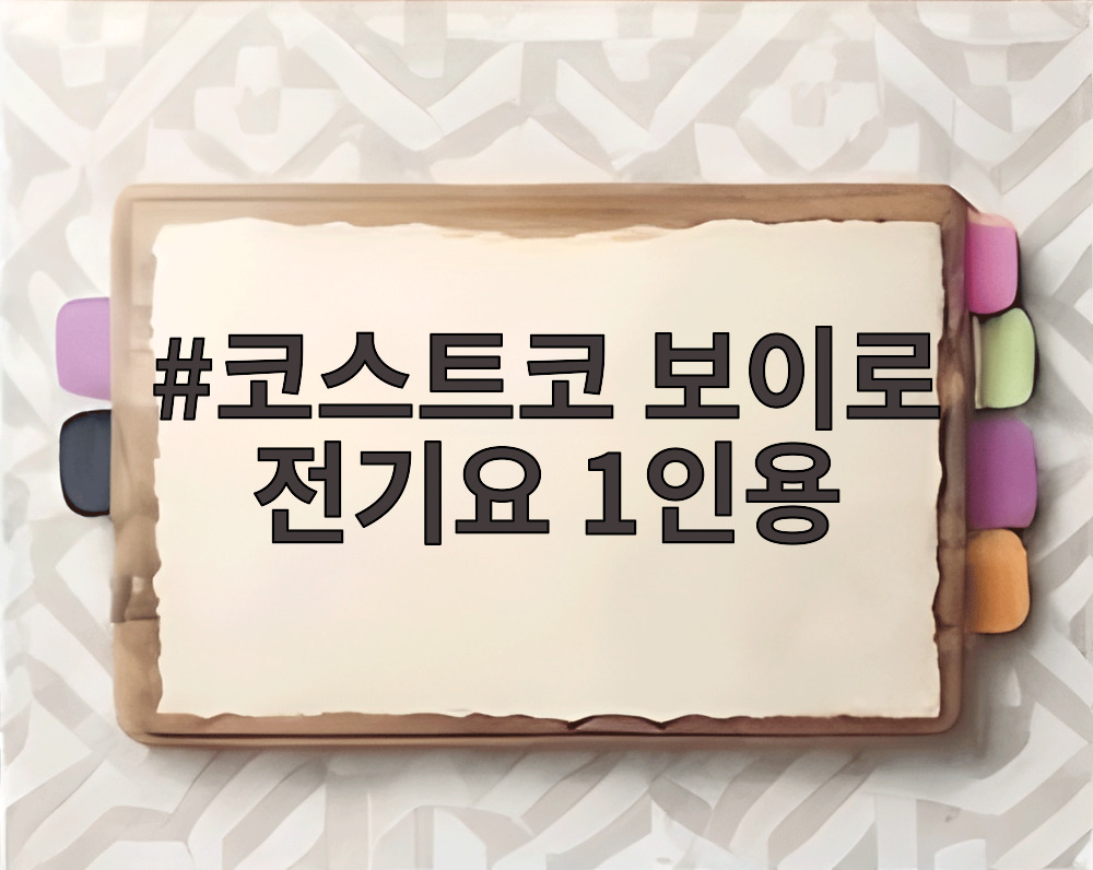 코스트코 보이로 전기요 1인용
