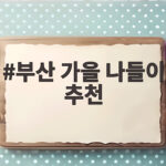 부산 가을 나들이 추천