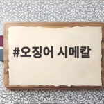 오징어 시메칼 사용법과 신선도 관리 핵심 정리 오징어 시메칼