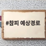 참피 예상경로