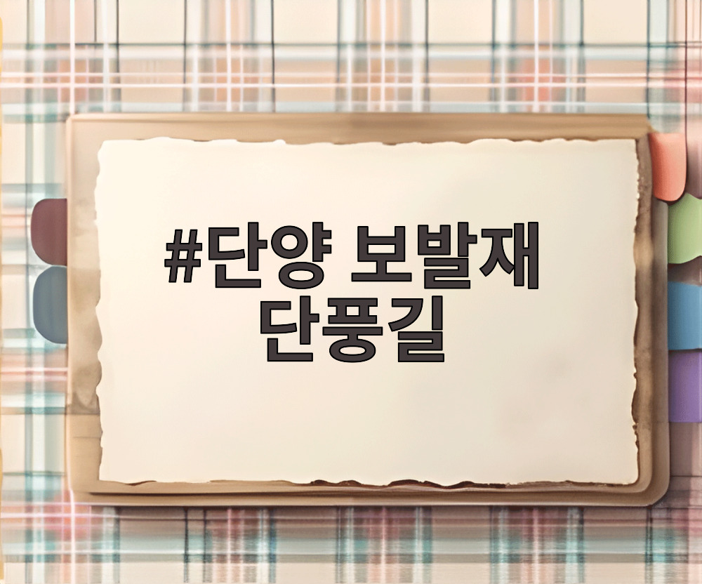 단양 보발재 단풍길