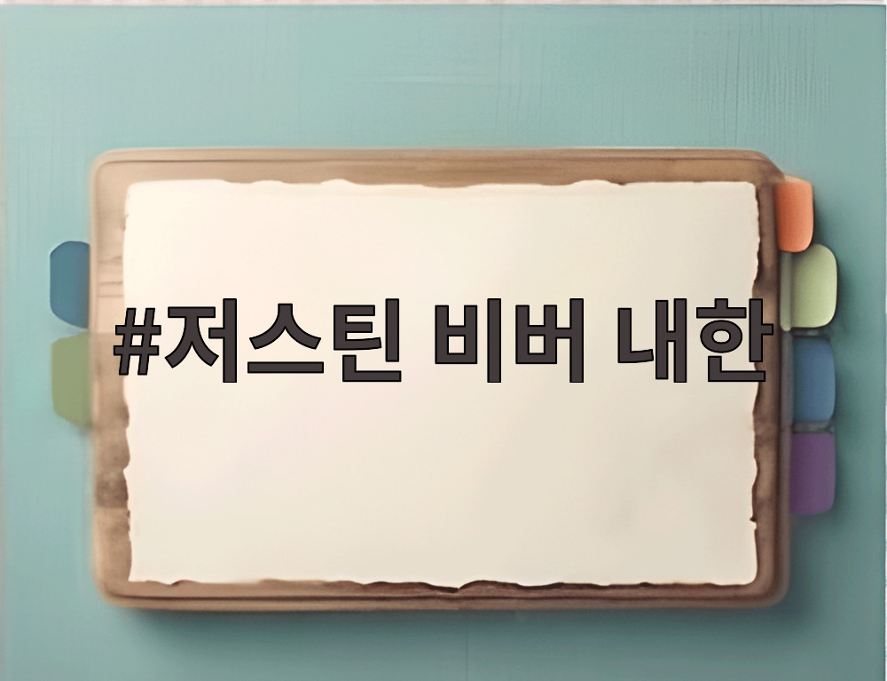 저스틴 비버 내한