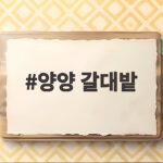 양양 갈대밭