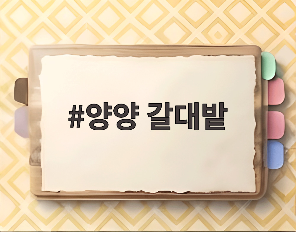 양양 갈대밭