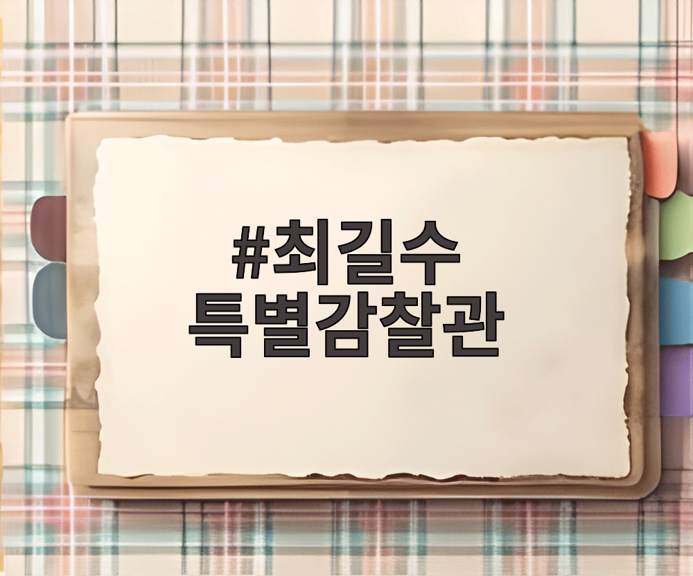 최길수 특별감찰관