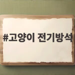 고양이 전기방석 안전하게 쓰는 법 이것만 확인하세요 고양이 전기방석