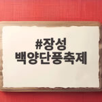 장성 백양단풍축제 절정 시기와 무료 입장 주차 팁까지 장성 백양단풍축제