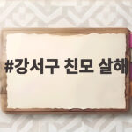 강서구 친모 살해 사건 40대 딸 구속 범행 전후 정황은 강서구 친모 살해