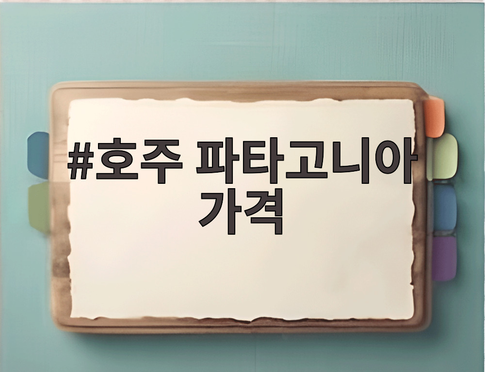 호주 파타고니아 가격