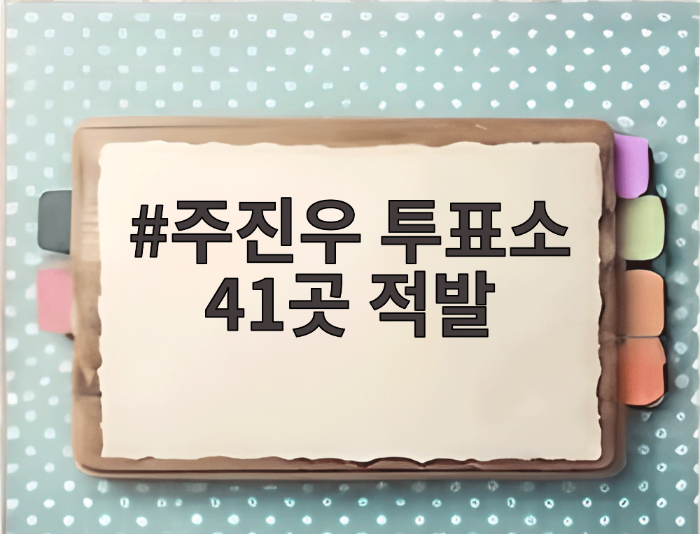 주진우 투표소 41곳 적발