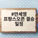 안세영 프랑스오픈 결승 일정 오늘 몇시에 볼 수 있을까 안세영 프랑스오픈 결승 일정