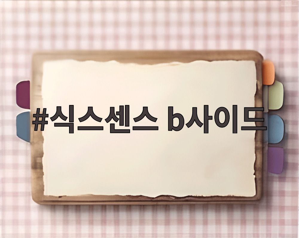 식스센스 b사이드