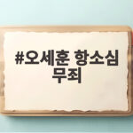오세훈 항소심 무죄 여론조사비 대납 의혹 판결 이후 달라진 정치 지형 오세훈 항소심 무죄