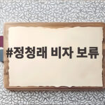 정청래 비자 보류 미국 비자 심사 지연이 남긴 것 정청래 비자 보류