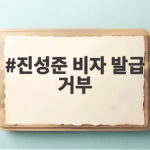 진성준 비자 발급 거부