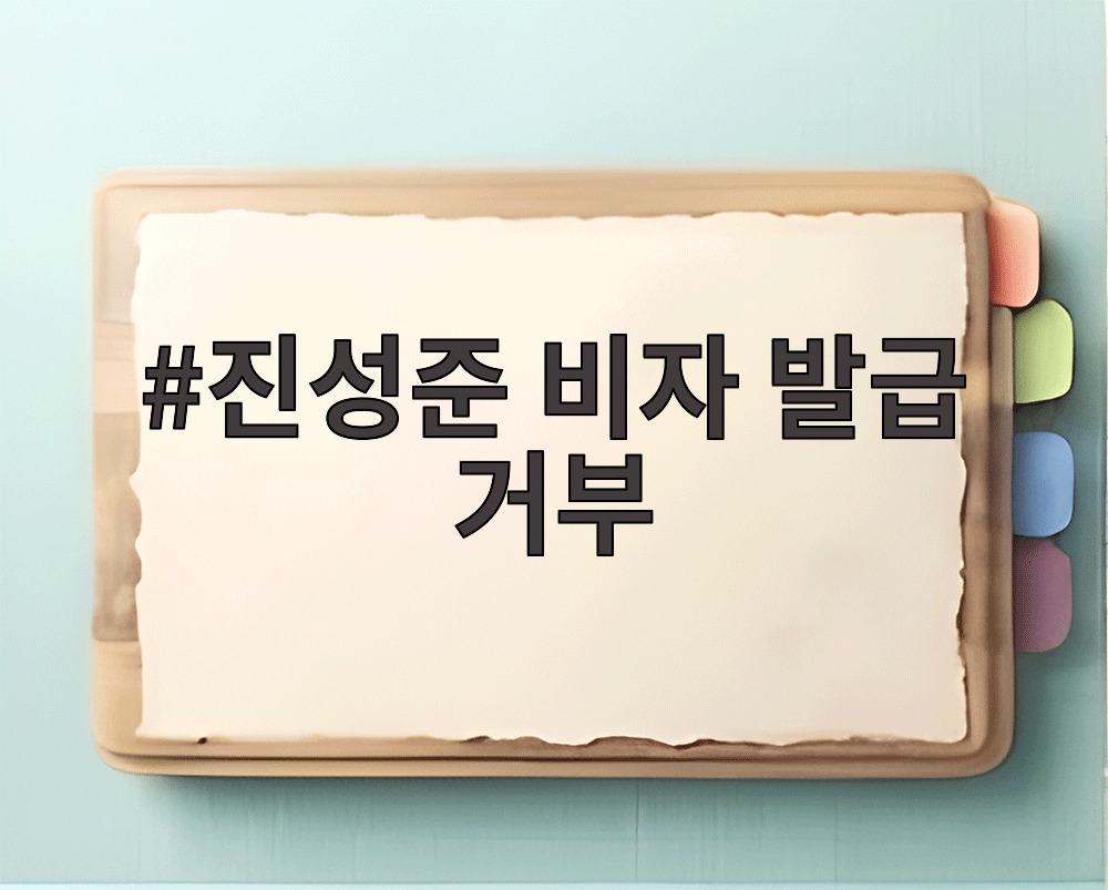 진성준 비자 발급 거부