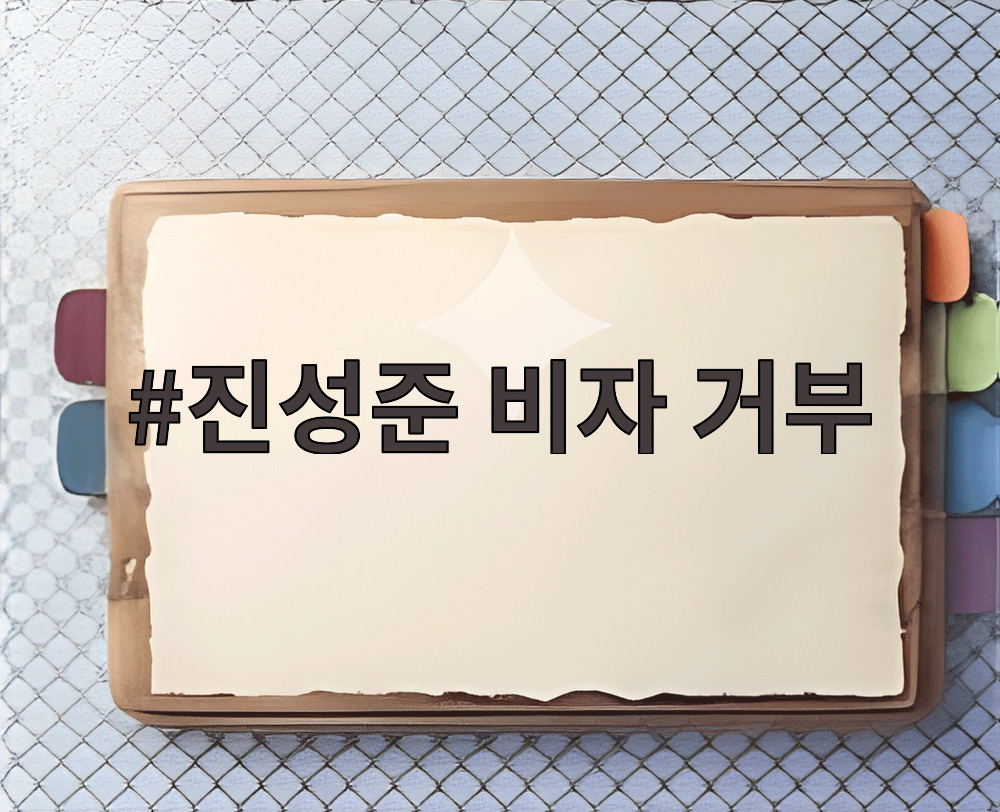 진성준 비자 거부