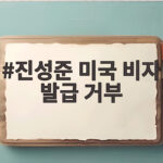 진성준 미국 비자 발급 거부