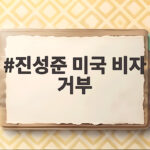 진성준 미국 비자 거부