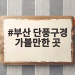 부산 단풍구경 가볼만한 곳 아이와 함께 가을 나들이 일정 부산 단풍구경 가볼만한 곳