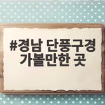 경남 단풍구경 가볼만한 곳 2026 절정 시기와 추천 명소 경남 단풍구경 가볼만한 곳