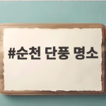 순천 단풍 명소 선암사와 순천만국가정원 가을 나들이 순천 단풍 명소