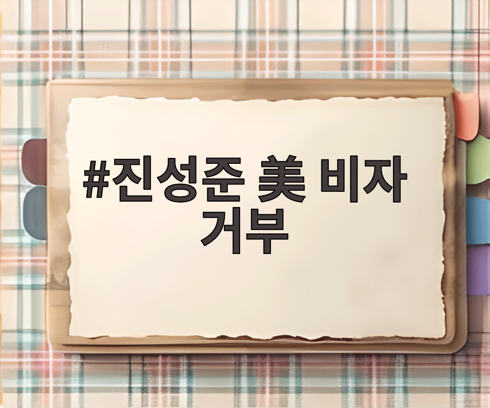 진성준 美 비자 거부